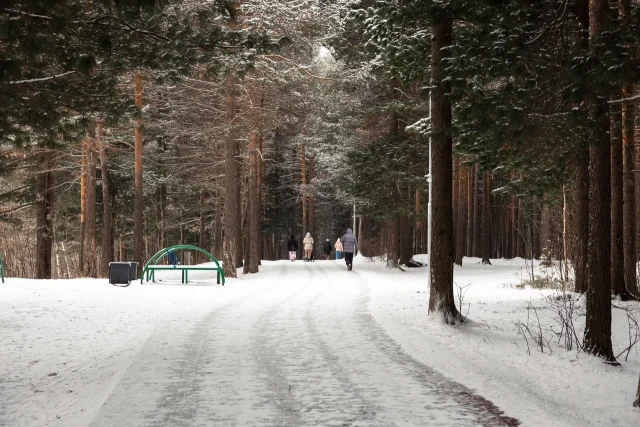 Водителя, прокатившегося по парку на автомобиле, задержали в Сургуте Водителя, прокатившегося по парку на автомобиле, задержали в Сургуте