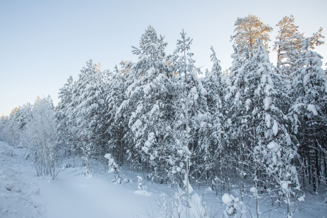 ​Потепление в ХМАО снова сменят морозы до -36 градусов