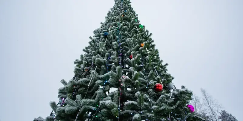 ​С площади перед администрацией Сургута исчезла новогодняя елка