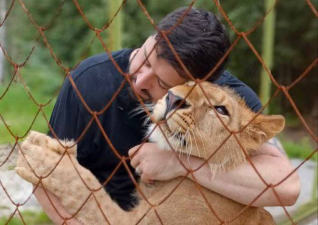 Блогер из Сургута заявил об ужасных условиях содержания изъятого у него львенка Блогер из Сургута заявил об ужасных условиях содержания изъятого у него львенка