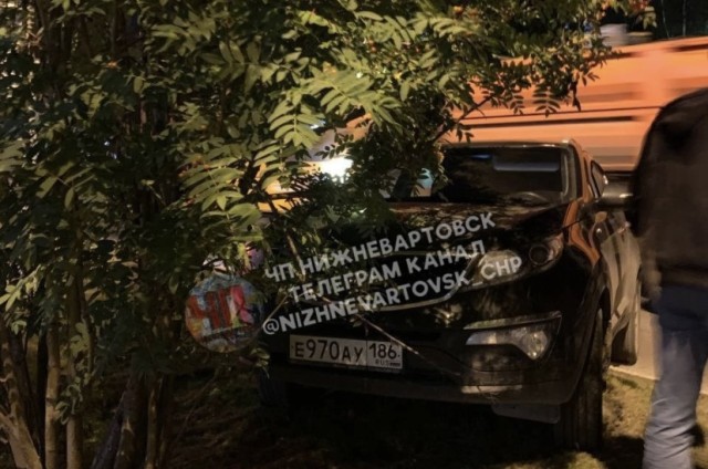 В Нижневартовске пьяная автолюбительница врезалась в дерево и умоляла не звонить в полицию В Нижневартовске пьяная автолюбительница врезалась в дерево и умоляла не звонить в полицию