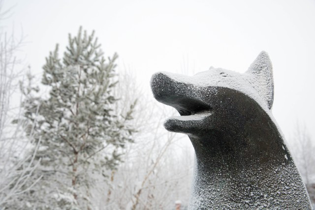 Звуки взрывов и запах гари перепугали жителей Сургута