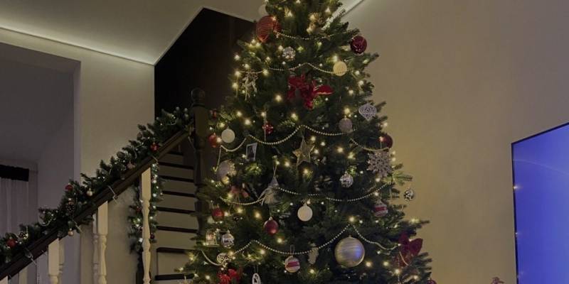 ​Бублики и бусы: как жители ХМАО украсили домашние елки к Новому году