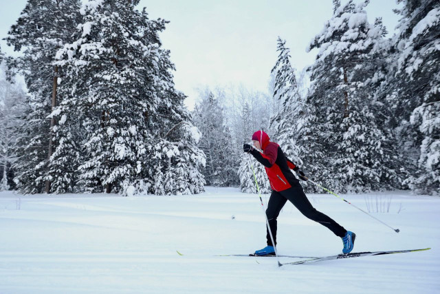 Около 150 миллионов рублей выделят на развитие лыжного спорта власти Сургутского района