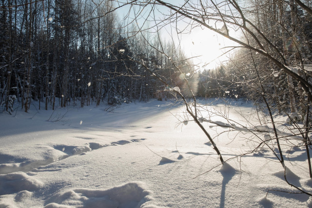 Косметолог рассказал, как предотвратить быстрое старение кожи лица при суровых морозах Сургута