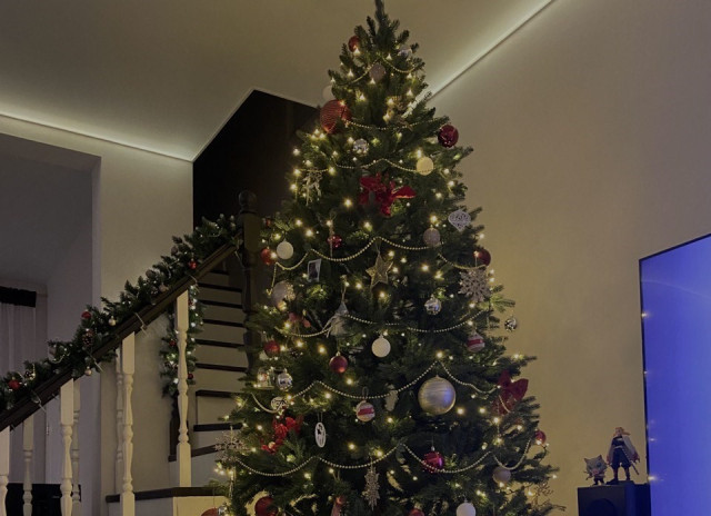 Бублики и бусы: как жители ХМАО украсили домашние елки к Новому году Бублики и бусы: как жители ХМАО украсили домашние елки к Новому году