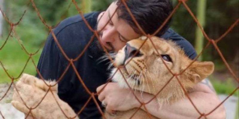 ​Блогер из Сургута заявил об ужасных условиях содержания изъятого у него львенка