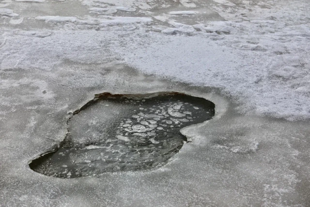 Приходится звонить спасателям: дети начали гулять по тонкому льду на Оби в ХМАО