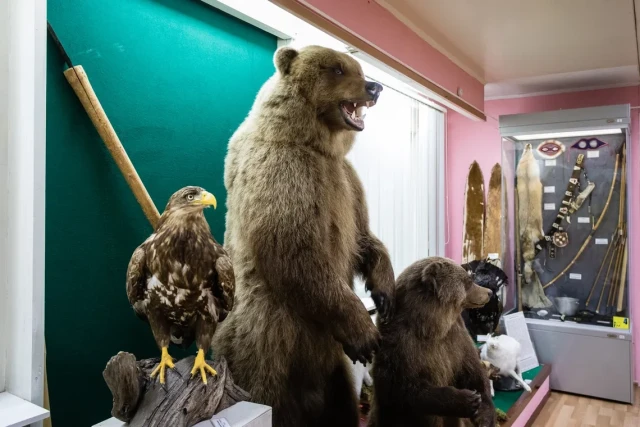 На месторождениях в ХМАО заметили сразу нескольких медведей На месторождениях в ХМАО заметили сразу нескольких медведей