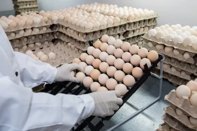 ​В сетевых магазинах Нижневартовска с полок пропали яйца