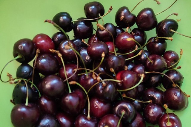 ХМАО заполонила черешня: как выбрать вкусную и безопасную ягоду
