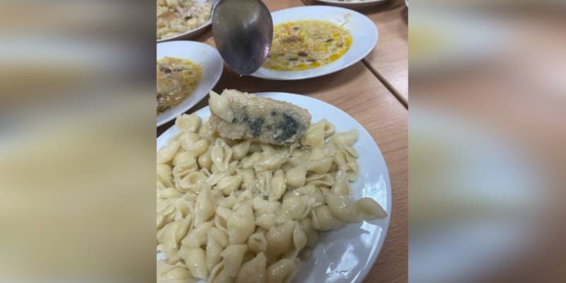 В ХМАО детям дали котлеты с плесенью в школьной столовой. Прокуратура начала проверку