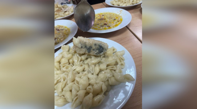 В ХМАО детям дали котлеты с плесенью в школьной столовой. Прокуратура начала проверку В ХМАО детям дали котлеты с плесенью в школьной столовой. Прокуратура начала проверку