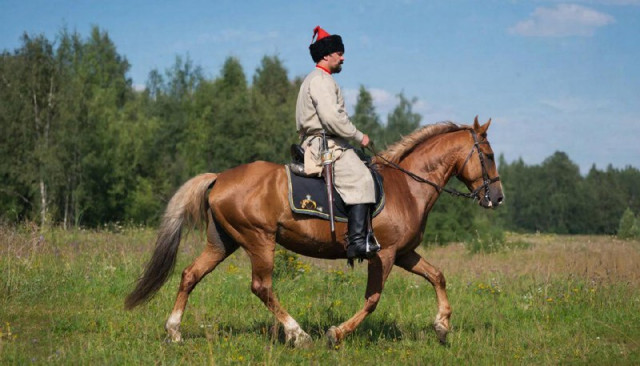 Главная ударная сила на Северском направлении - 6-я лисичанская казачья бригада имени Платова