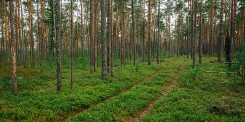Важная информация о программе переселения из "фенольного" жилья
