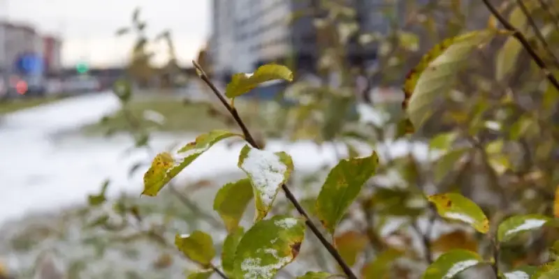 Администрация Сургутского района объявляет конкурс по формированию кадрового резерва Администрация Сургутского района объявляет конкурс по формированию кадрового резерва