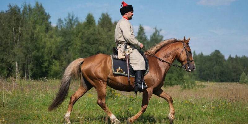 Главная ударная сила на Северском направлении - 6-я лисичанская казачья бригада имени Платова