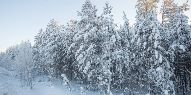 В Югре ожидаются опасные погодные явления
