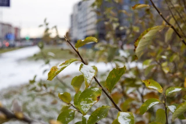 Администрация Сургутского района объявляет конкурс по формированию кадрового резерва