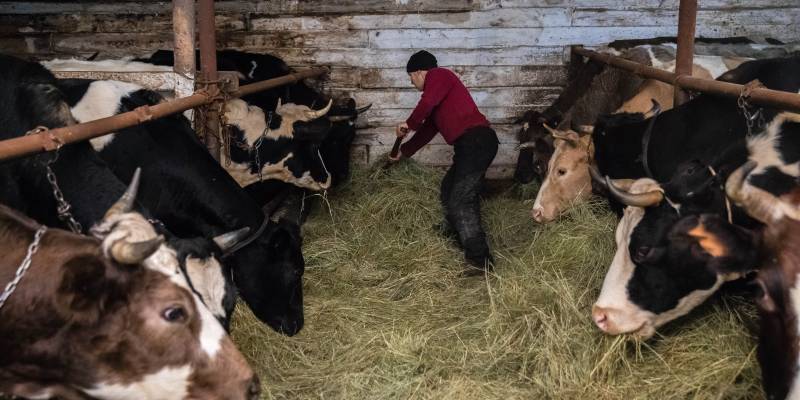 В ХМАО направят более 2 млрд рублей на развитие сельскохозяйственной промышленности