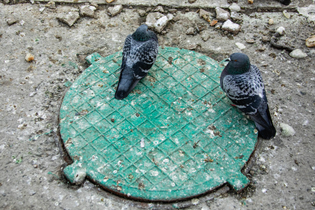 Жители Нижневартовска нашли лайфхак по избавлению от луж, который приводит к засорам