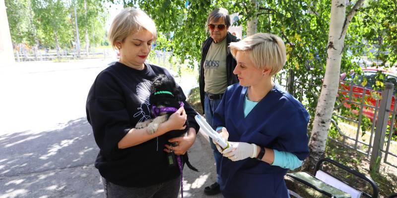В Сургутском районе бесплатно вакцинируют собак от смертельной болезни