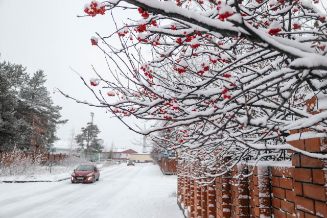 Мороз и метель придут в ХМАО в последние дни года