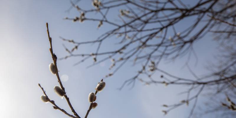 Придет настоящая весна: синоптики прогнозируют резкое потепление в ХМАО