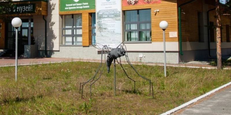 Жители города в ХМАО считают, что от гнуса их не спасет даже лазер