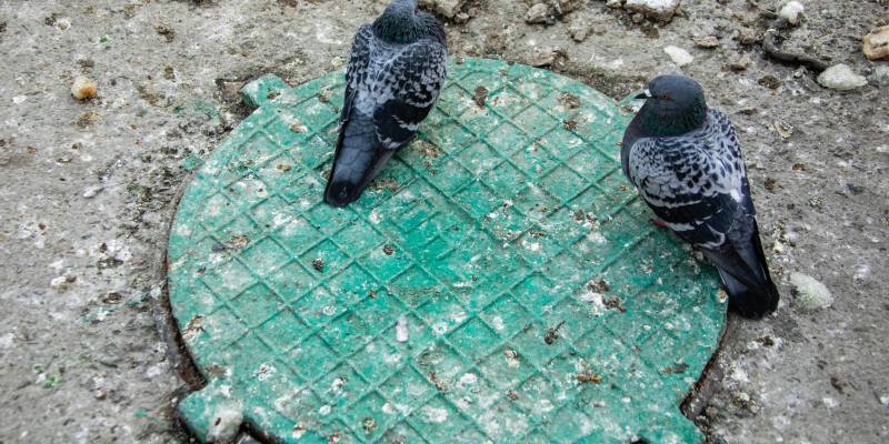 Жители Нижневартовска нашли лайфхак по избавлению от луж, который приводит к засорам