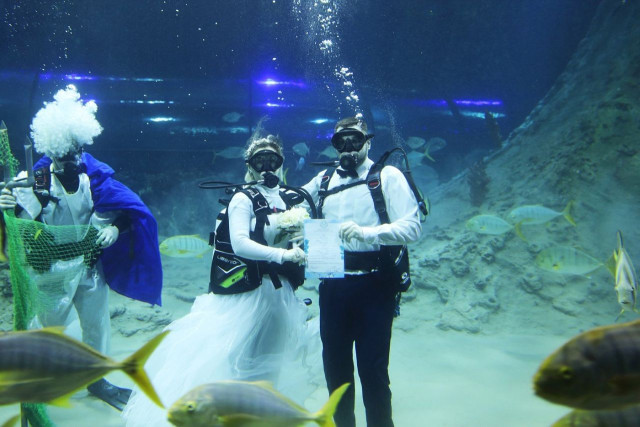 Свадьбу под водой и среди акул организовали жители ХМАО. ВИДЕО