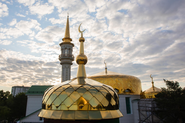 Халяльное лечение: в России появятся &laquo;Muslim friendly&raquo; клиники