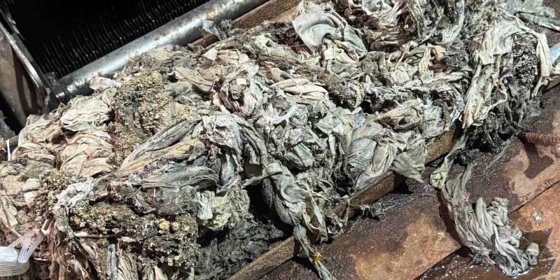 Более 200 килограмм влажных салфеток смыли жители Нижневартовска за полчаса