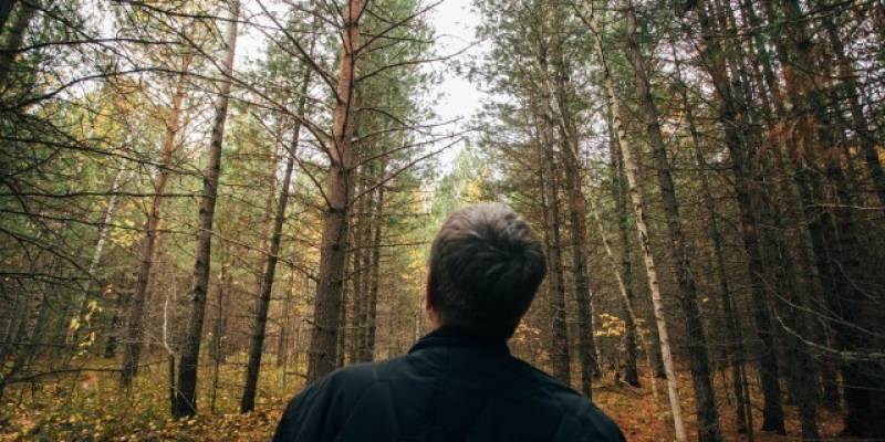 Грибникам и рыбакам ХМАО дали совет, как избежать трагедии в лесу и на реках