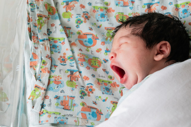 Более 60 пар близнецов родились в Сургуте с начала года Более 60 пар близнецов родились в Сургуте с начала года