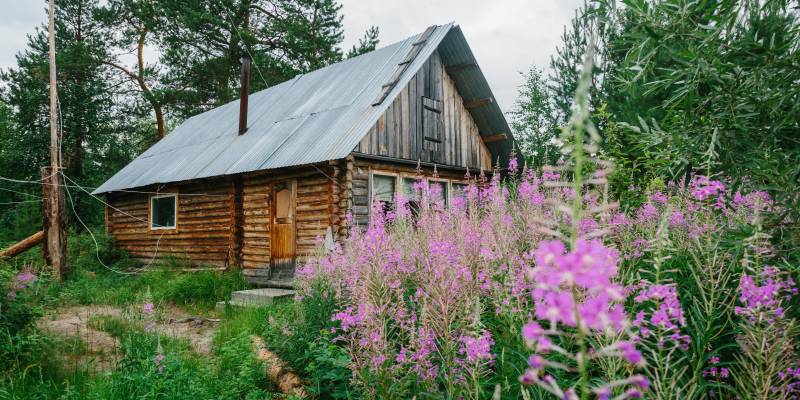В столице ХМАО зафиксировали первого укушенного клещом