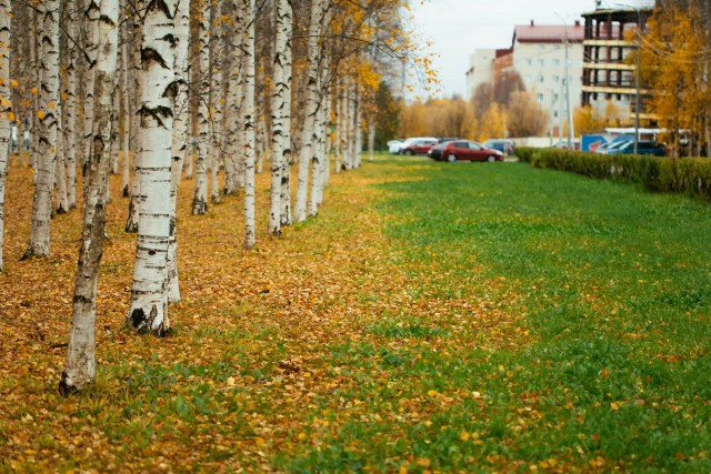 В ХМАО потеплеет до +26 градусов