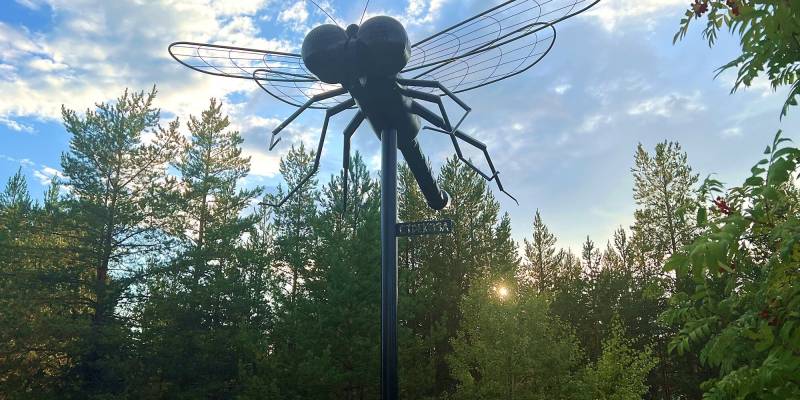 Скульптура огромной стрекозы появилась в городе ХМАО
