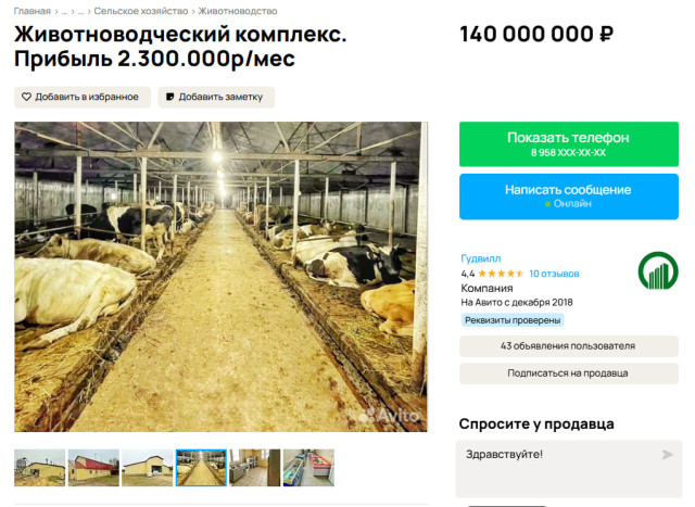 Ферму вместе с коровами и сотрудниками продают в Сургуте