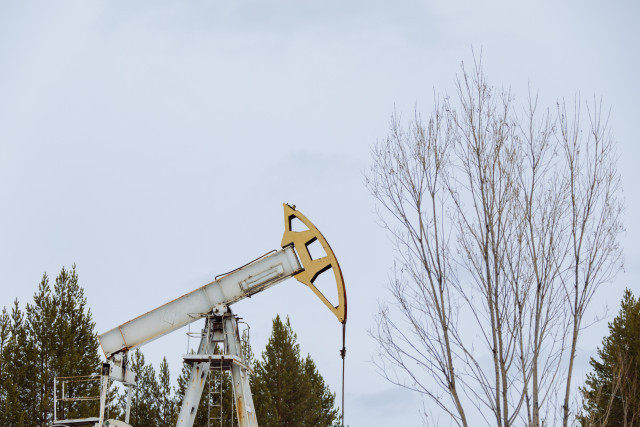 Глава СК Бастрыкин заинтересовался разливом нефти, который может привести к гибели рыбы в ХМАО Глава СК Бастрыкин заинтересовался разливом нефти, который может привести к гибели рыбы в ХМАО