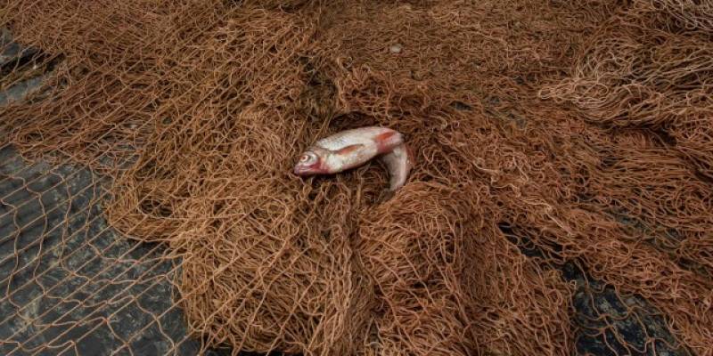 В ХМАО начинает действовать запрет на рыбалку из-за нереста