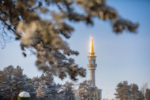 Чему учат в медресе Чему учат в медресе