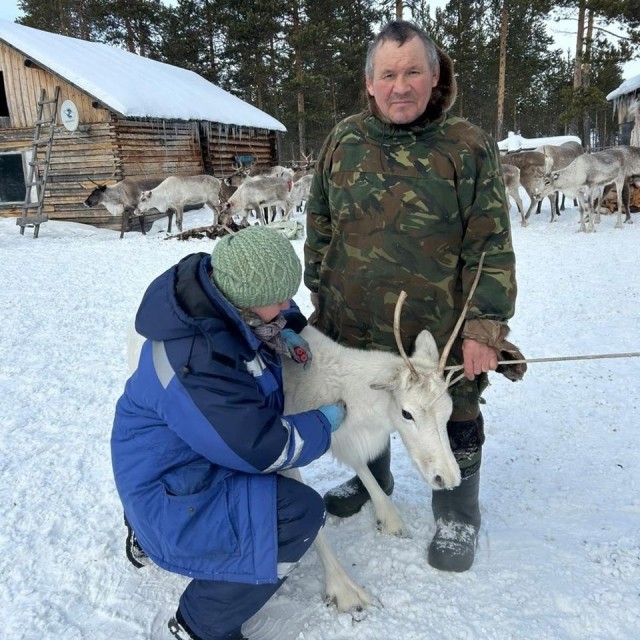 Новый бонус для кочевий