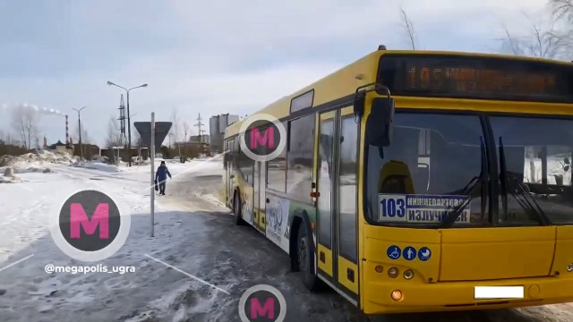 Междугородний автобус в ХМАО застрял в луже и никуда не уехал Междугородний автобус в ХМАО застрял в луже и никуда не уехал