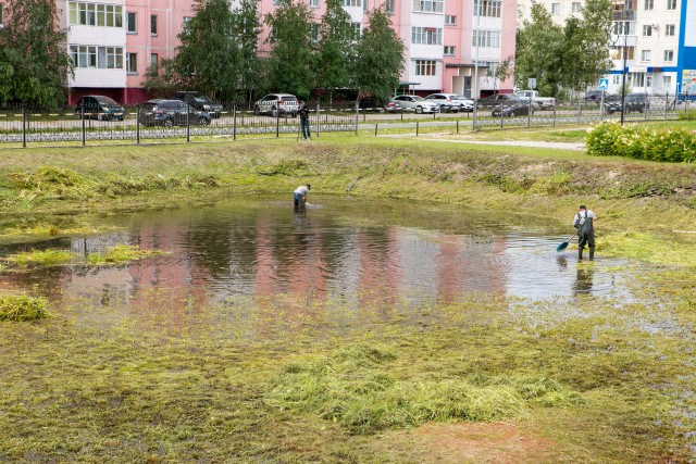 В ХМАО спасают обмельчавший городской пруд, в котором когда-то утонул трактор