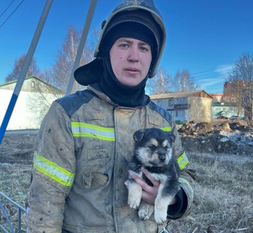 В Сургутском районе пожарные спасли из огня щенка и приютили его