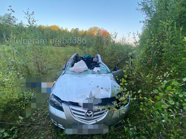 В ХМАО шестилетняя девочка погибла в ДТП из-за выбежавшего на дорогу лося