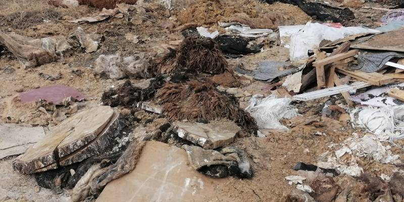 Жители города в ХМАО боятся вспышки сибирской язвы из-за свалки с останками скота