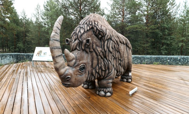 Ученые из разных стран помогут Сургутскому району воссоздать элементы древней жизни на Барсовой горе