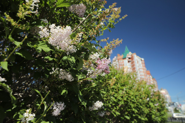 Какими будут лето и осень в ХМАО, спрогнозировали в Росгидромете Какими будут лето и осень в ХМАО, спрогнозировали в Росгидромете